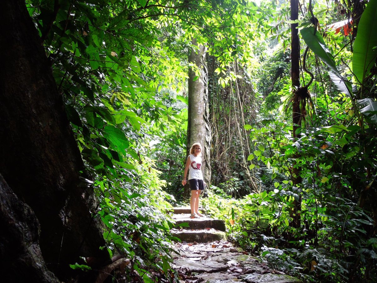 Cuc Phuong National Park (Ninh Binh) - All You Need to Know BEFORE You Go