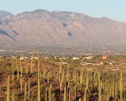 THE 10 BEST Free Things to Do in Tucson (2024) - Tripadvisor