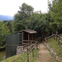 Centro di recupero dell'avifauna ferita
