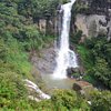 Things To Do in 7 Day Sri Lanka - ASY Tours, Restaurants in 7 Day Sri Lanka - ASY Tours