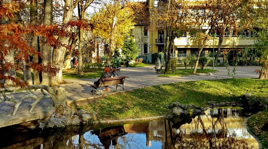Ion Voicu Park