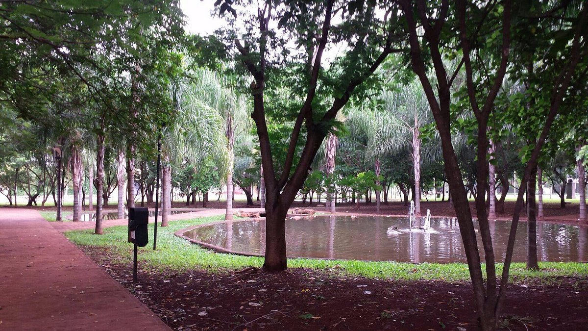 RIBEIRÃO PRETO - SP  Conheça a cidade do Chopp Pinguim, Jardim Botânico,  Sete Capelas 