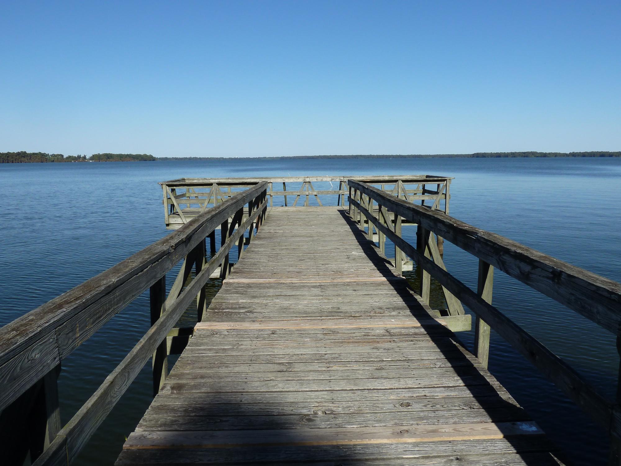 Reelfoot Lake Tiptonville Aktuelle 2021 Lohnt Es Sich Mit Fotos   Reelfoot Lake 