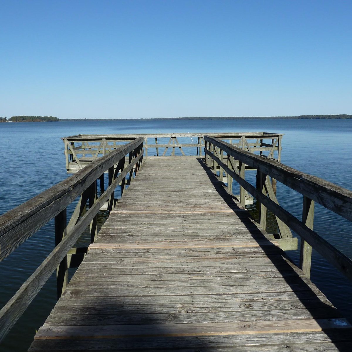 Reelfoot Lake (Tiptonville) All You Need to Know BEFORE You Go