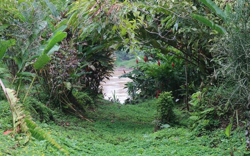 tambopata river
