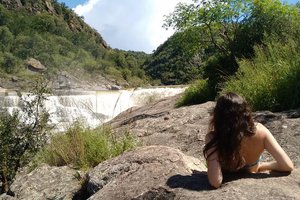 Viaggiatori