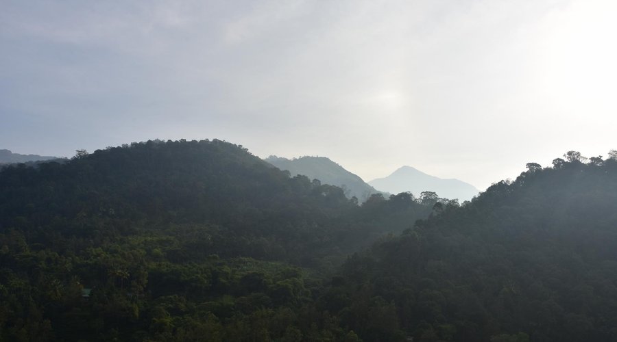 Mountain view from the room