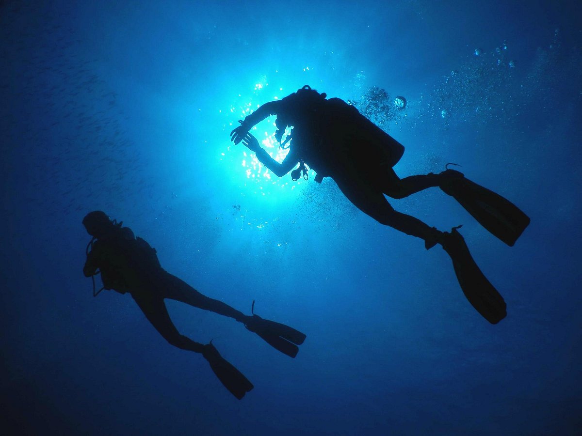 Absolute Scuba (Pune) - All You Need to Know BEFORE You Go