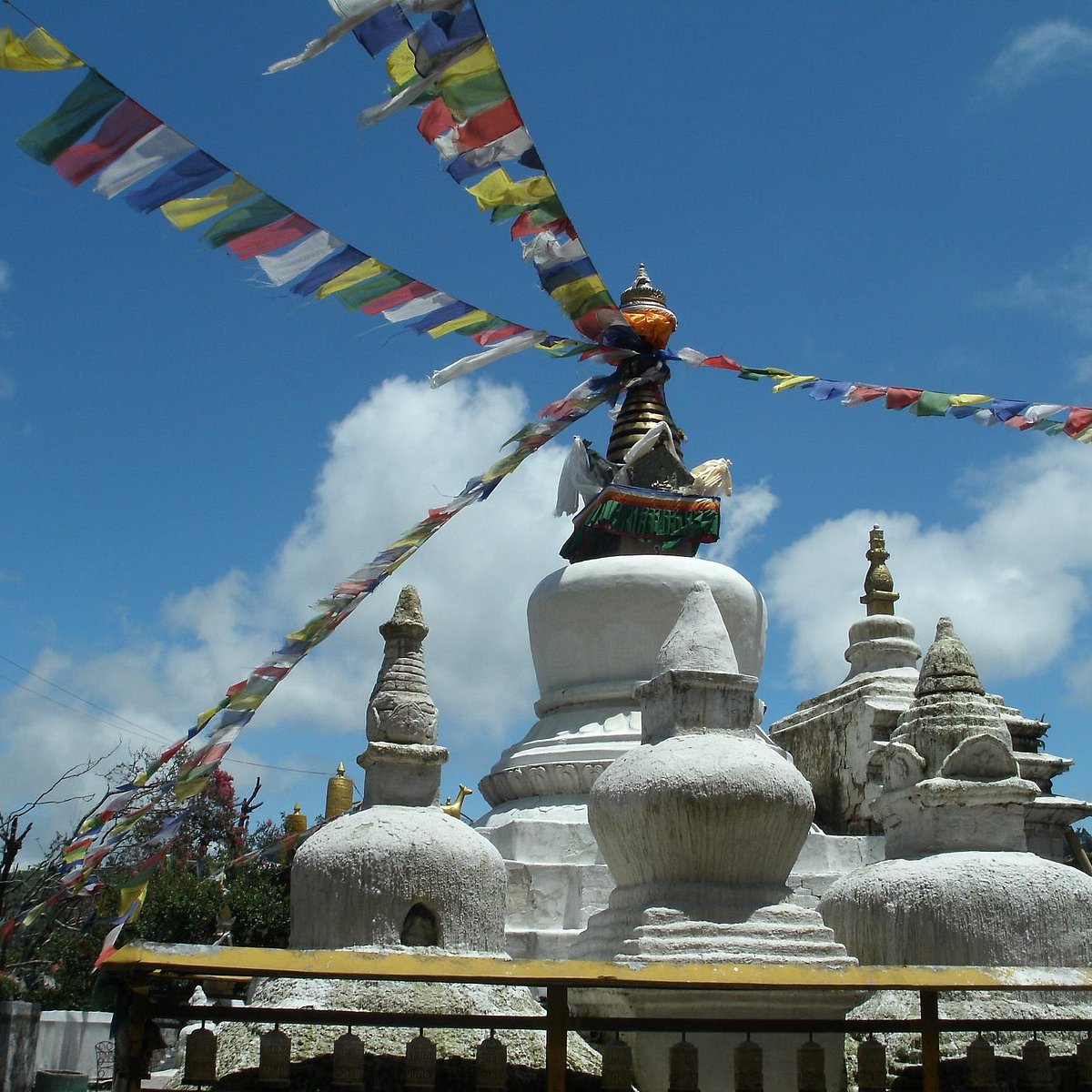 Himalayan Leaders (Kathmandu) - All You Need to Know BEFORE You Go Himalayan Leaders (Kathmandu) - All You Need to Know BEFORE You Go