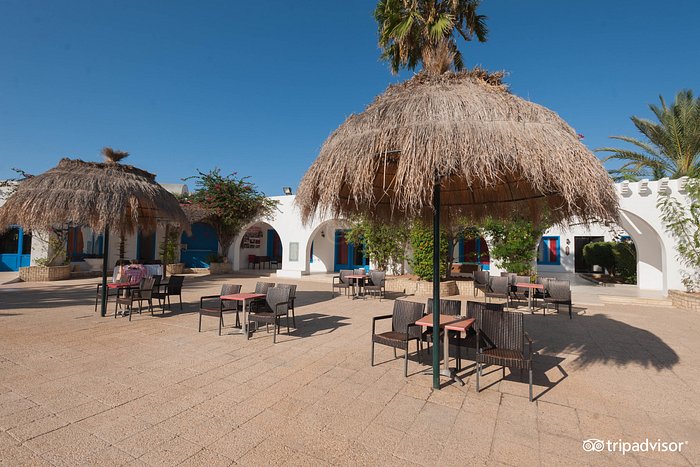 Cedriana hotel djerba all inclusive