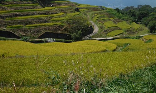 21年日本上田市的旅游景点 旅游指南 行程 Tripadvisor 21年日本上田市的旅游景点 旅游指南 行程 Tripadvisor