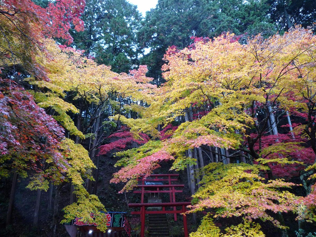 Dokoji Temple Tanba Sasayama All You Need To Know Before You Go