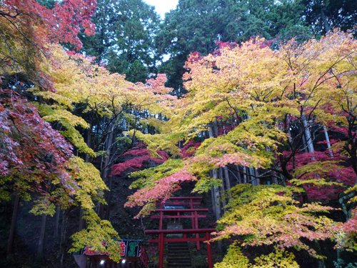 21年 丹波篠山市で絶対外さないおすすめ観光スポットトップ10 定番から穴場まで トリップアドバイザー