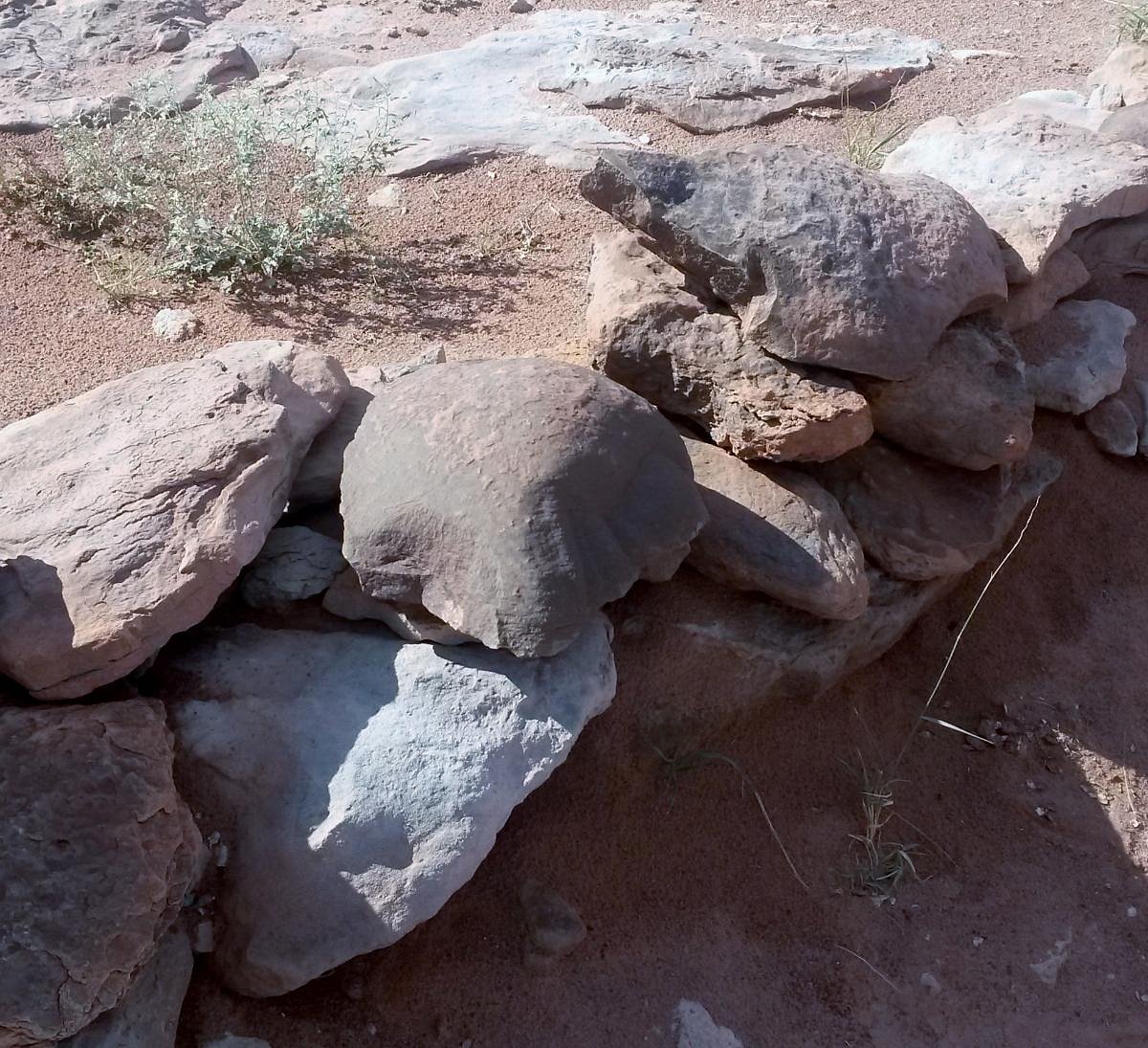 Moenave Dinosaur Tracks – Tuba City, Arizona - Atlas Obscura