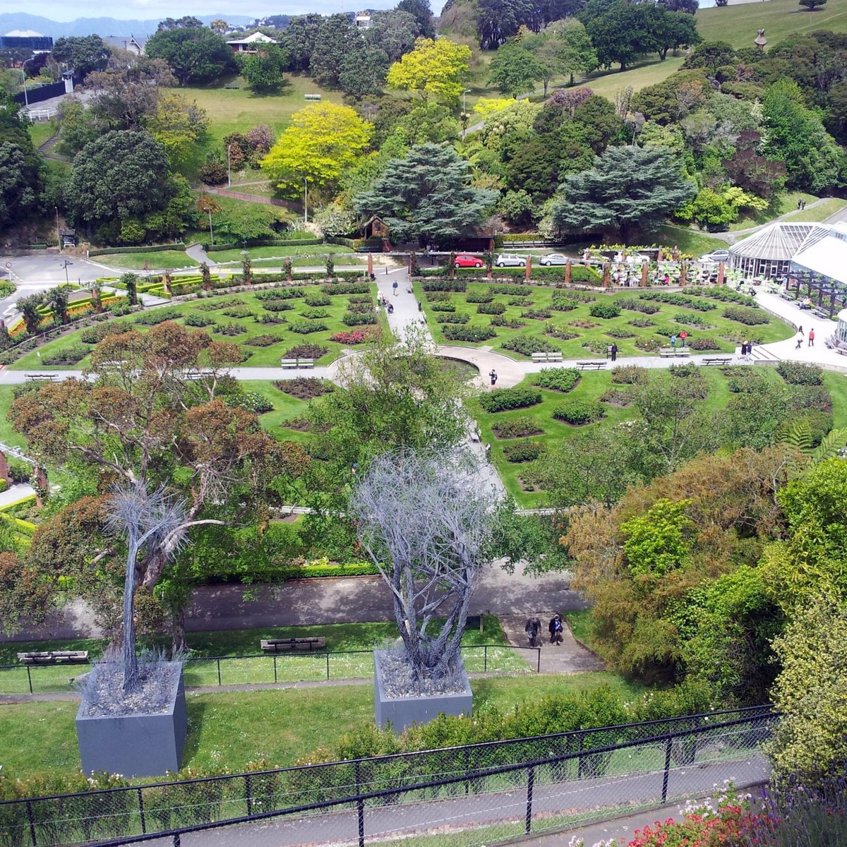 Wellington Botanic Garden, Веллингтон: лучшие советы перед посещением -  Tripadvisor