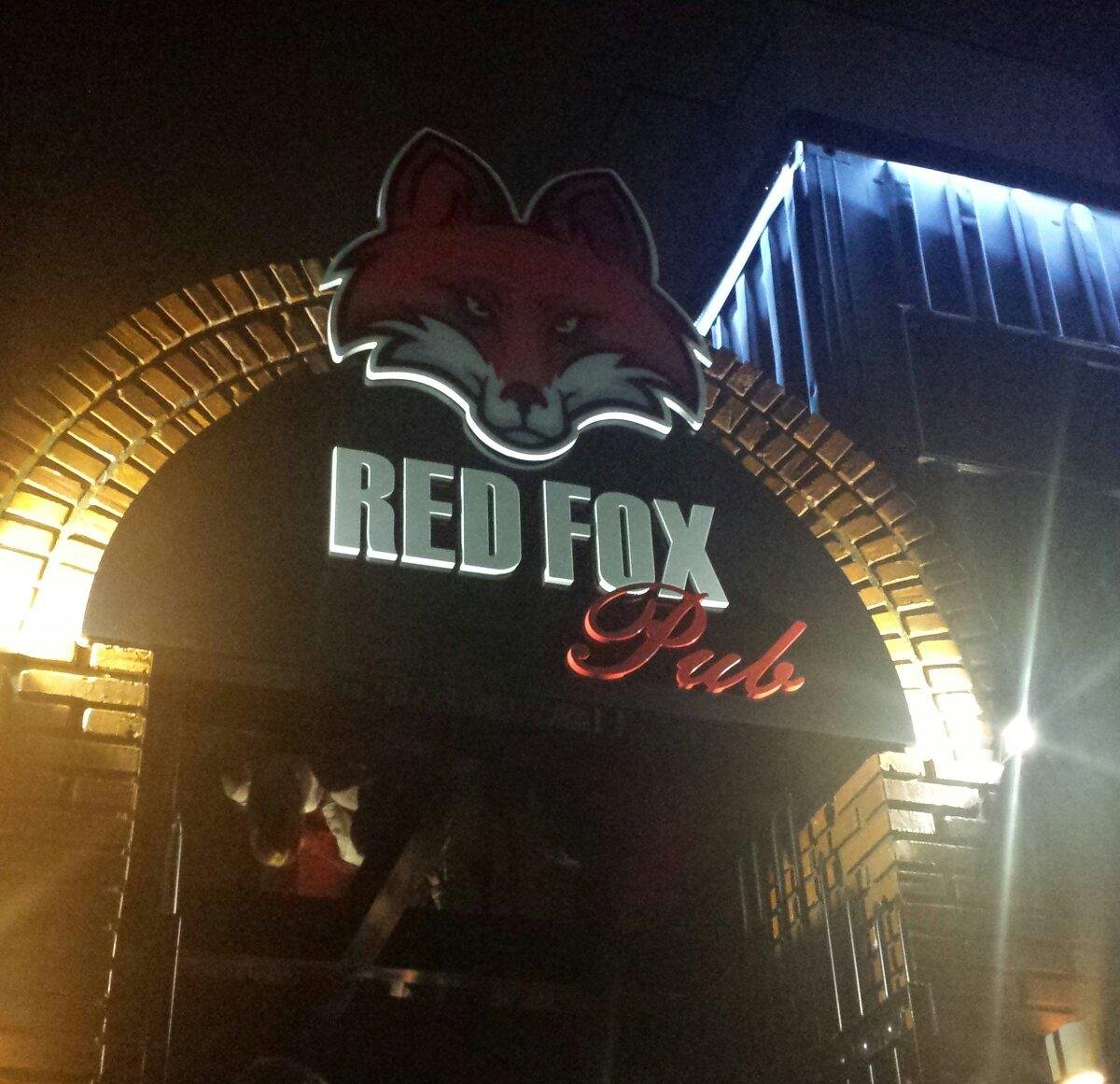 Red fox h