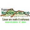 Fazenda Morro P... A