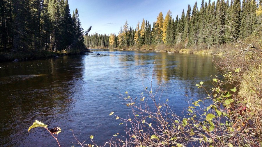 View of the lake at Birch Bark Lodge