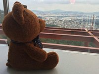 Teddy bear Museum, Located at Namsan tower(seoul tower) The…