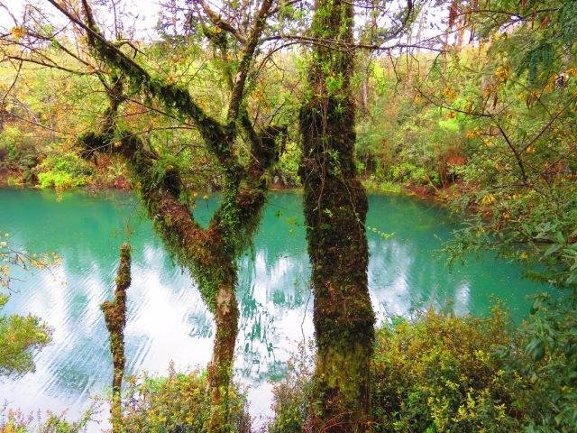 Laguna Verde (Puerto Varas) Aktuelle 2021 Lohnt es sich? (Mit fotos