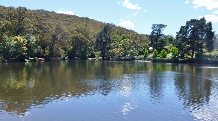 Lake view