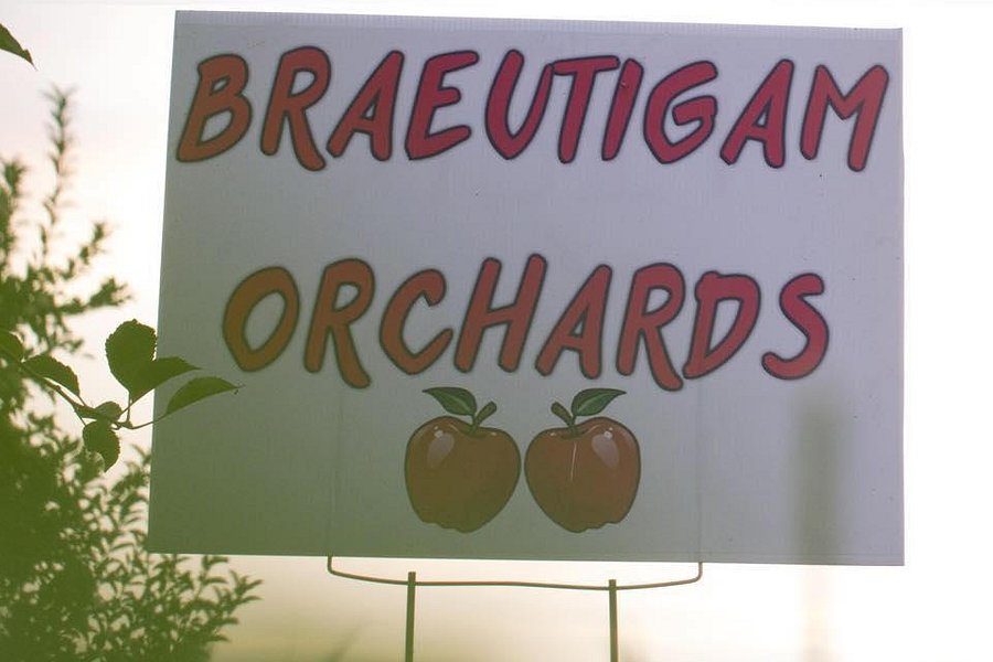 Braeutigam Orchards image