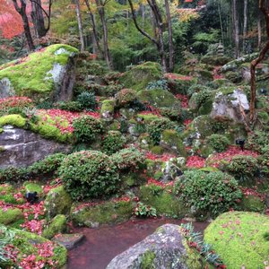 Hachiman Bori 近江八幡市 旅游景点点评 Tripadvisor