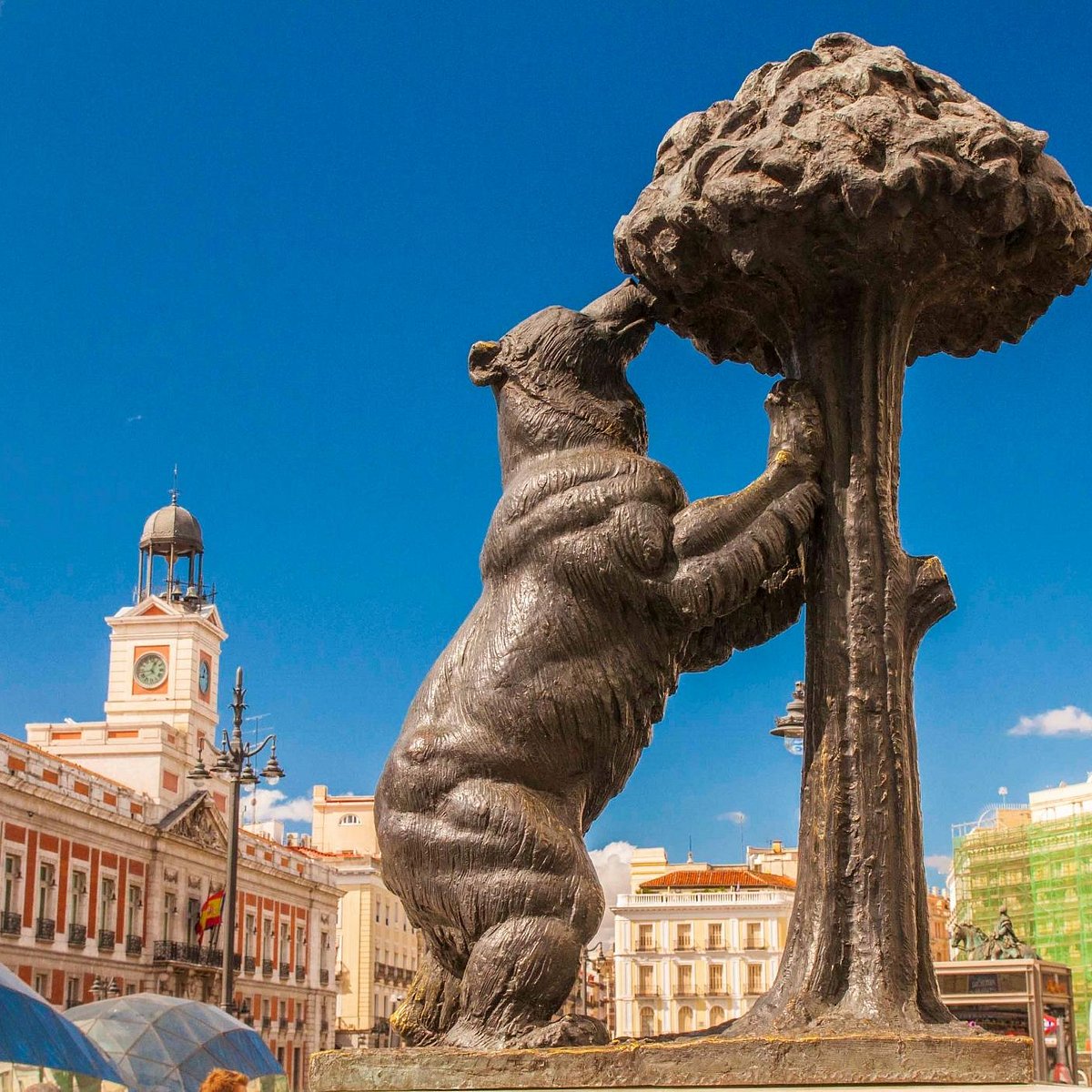 El Oso y el Madrono (Madrid) - All You Need to Know BEFORE You Go