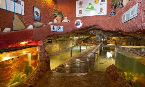 Entrada Aquarium