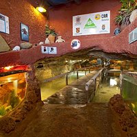 Entrada Aquarium