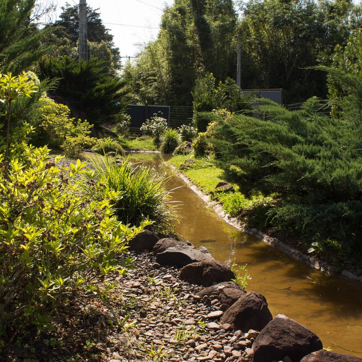 Memorial da Colônia Japonesa, Ivoti - Tripadvisor