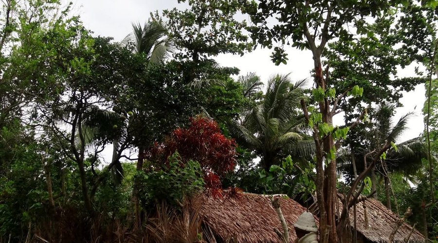 Waterfall village
