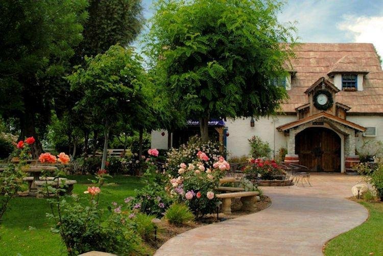 Briar Rose