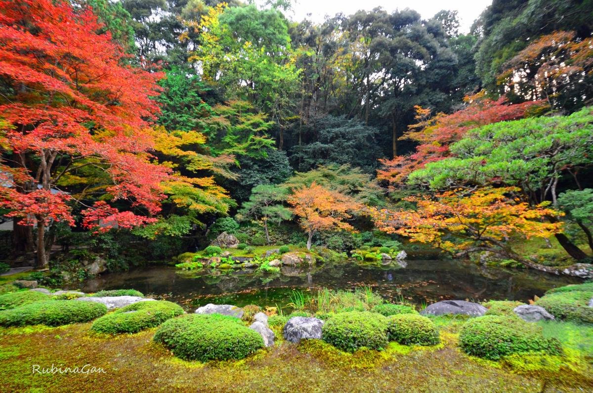 Nanzenin Garden Kyoto 22 Alles Wat U Moet Weten Voordat Je Gaat Tripadvisor