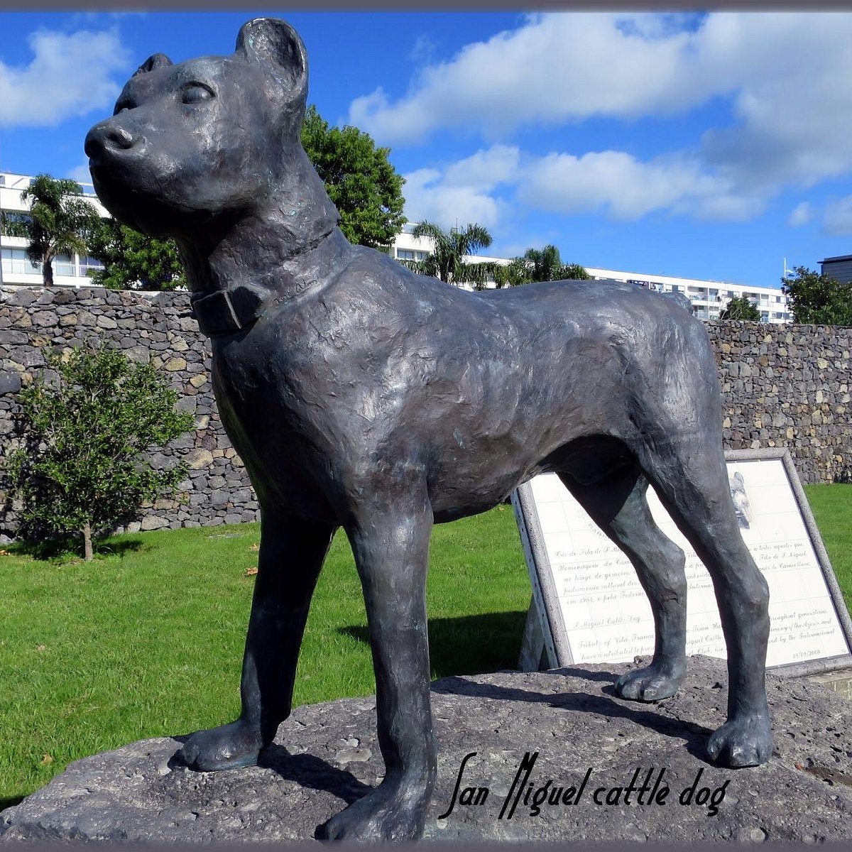 Sao Miguel Cattle Dog Statue (Vila Franca do - All You Need to Know BEFORE You Go