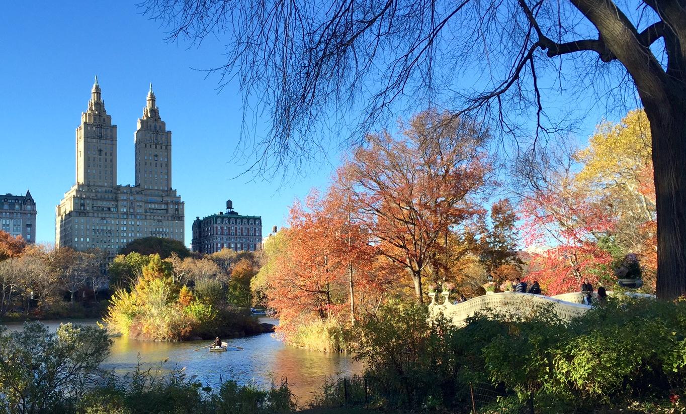 Hotel photo 59 of Lotte New York Palace.
