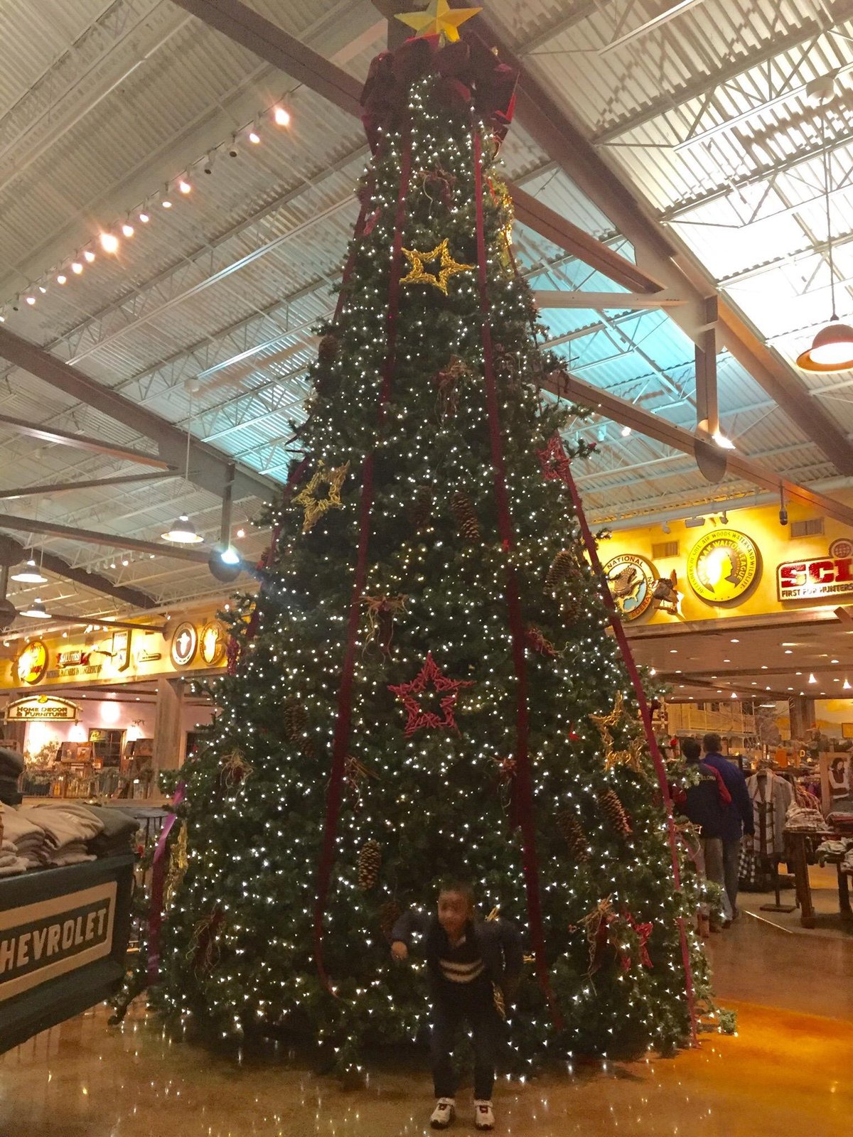 Bass Pro Shops (Foxborough) All You Need to Know BEFORE You Go