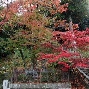 21年 丹波篠山市で絶対外さないおすすめ観光スポットトップ10 定番から穴場まで トリップアドバイザー 21年 丹波篠山市で絶対外さないおすすめ観光スポットトップ10 定番から穴場まで トリップアドバイザー