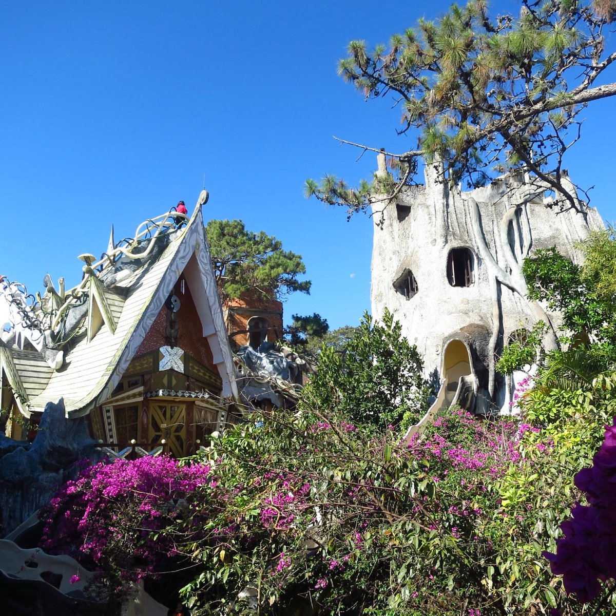 Crazy House, Далат: лучшие советы перед посещением - Tripadvisor