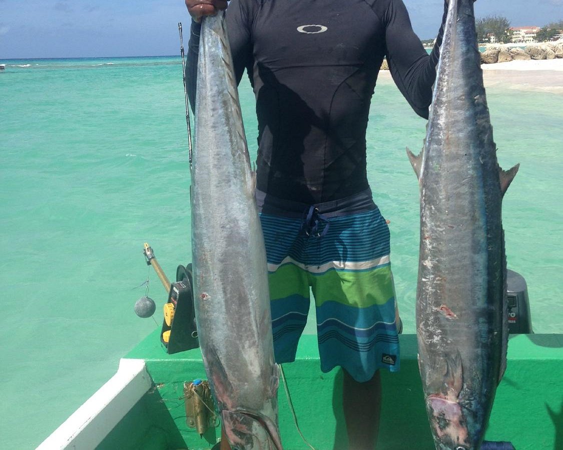 11+ Fishing In Barbados