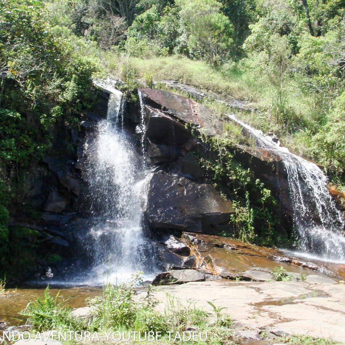 Parque Estadual Serra do Mar (Cunha) - 2022 What to Know Before You Go ...