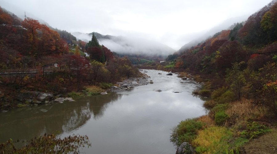 朝霧