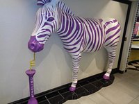 Purple Zebra Coming (Back) to LINQ and Open at RIO •