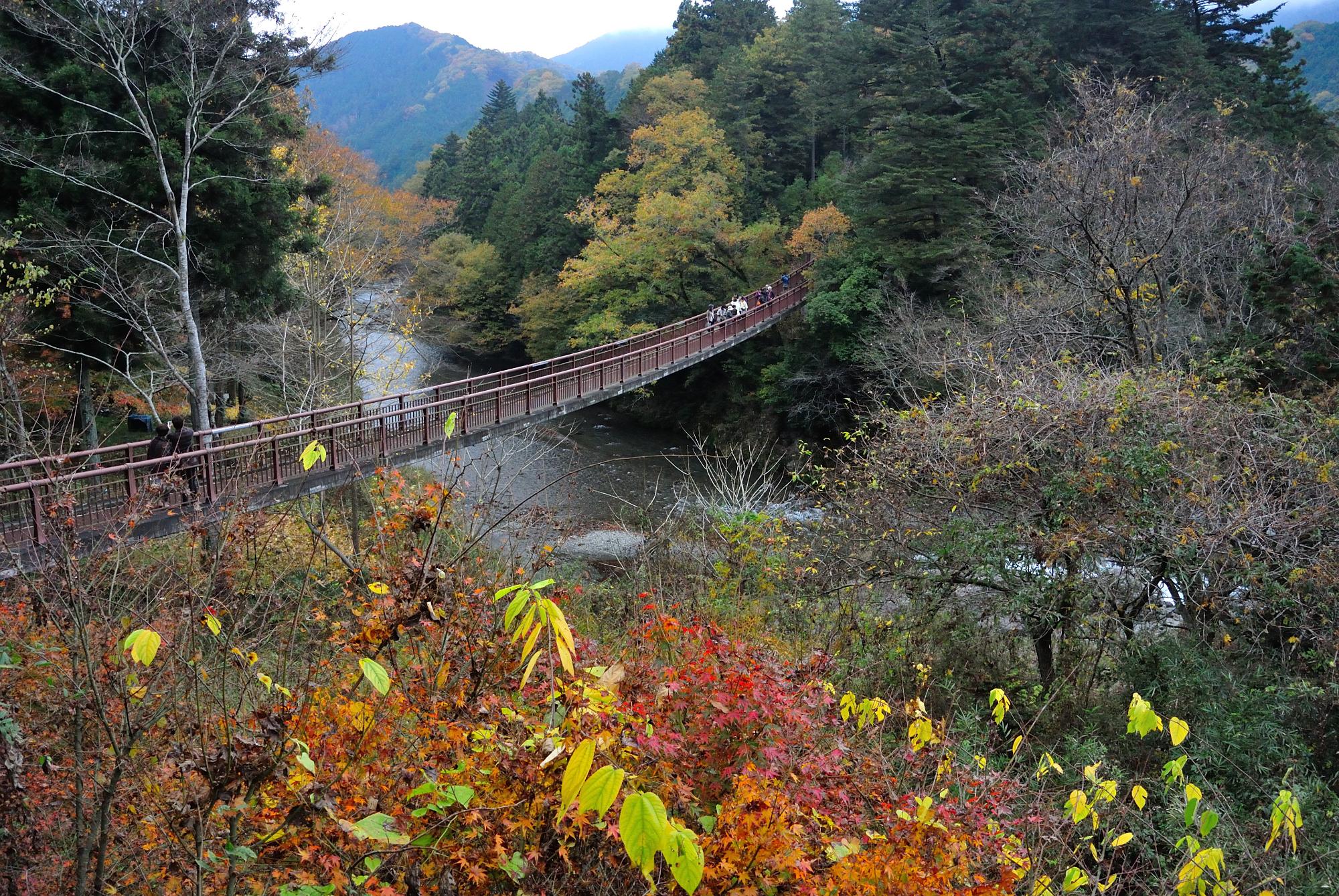 2025年 石舟橋 - 出発前に知っておくべきことすべて - トリップ 2025年 石舟橋 - 出発前に知っておくべきことすべて - トリップ