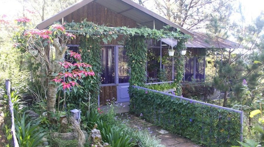 The Lodge