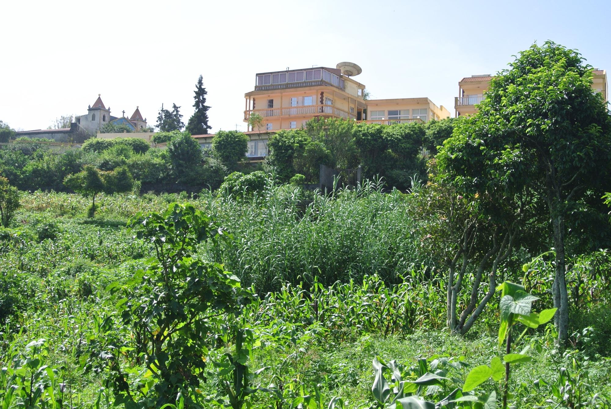Quinta Da Montanha image