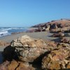 Things To Do in Pedra Grande Beach, Restaurants in Pedra Grande Beach