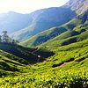 Things To Do in Meghamalai - High Wavy Mountains, Restaurants in Meghamalai - High Wavy Mountains