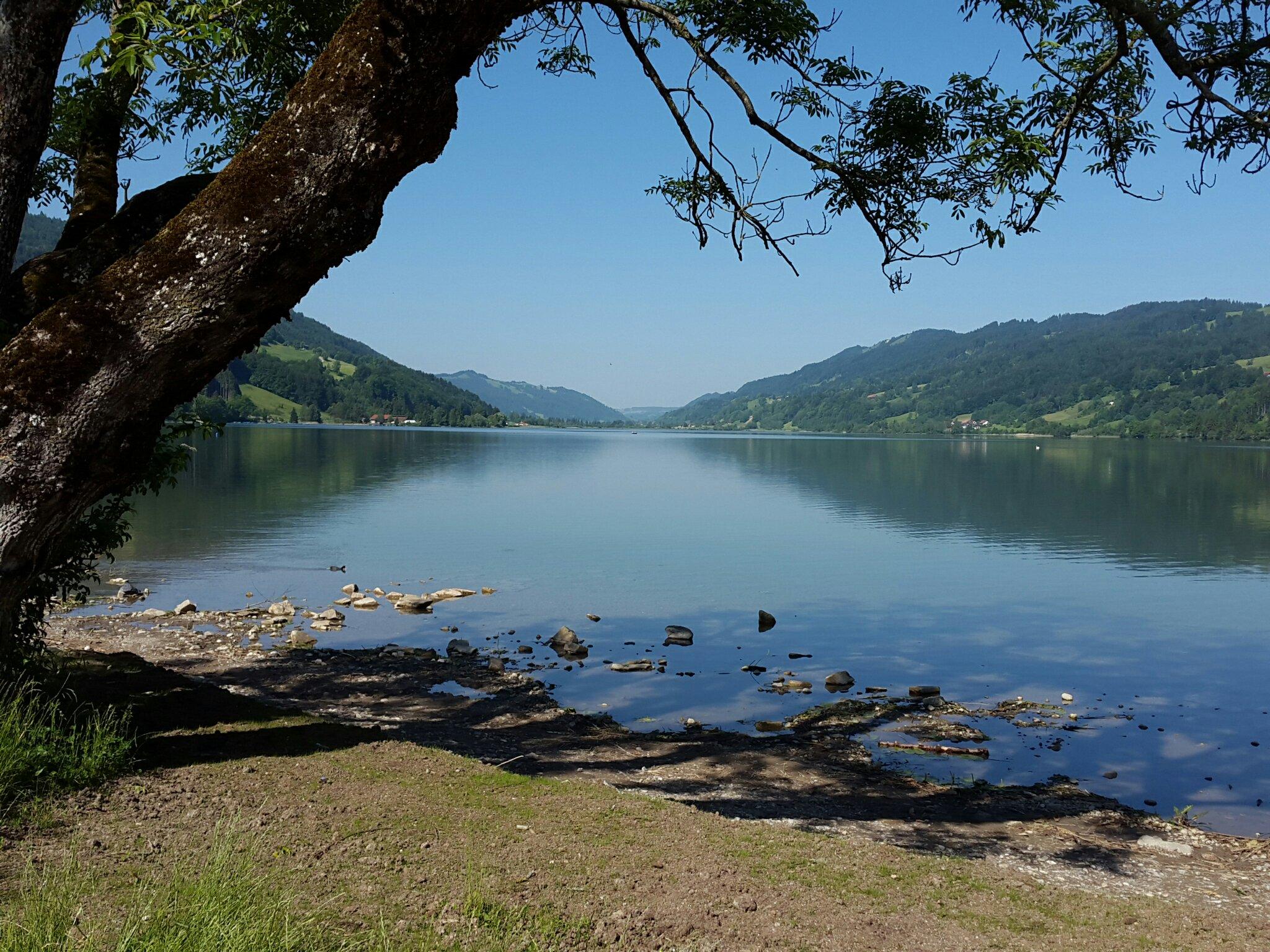 ALPSEE BERGWELT All You Need to Know BEFORE You Go with Photos