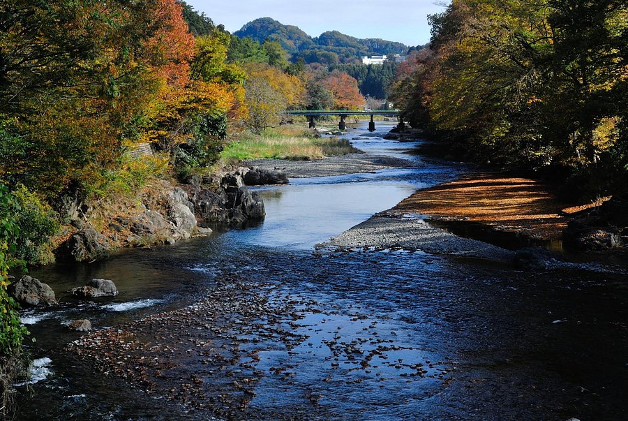 Wonderful Nature Village Campground Reviews Akiruno Japan Tokyo Prefecture Tripadvisor